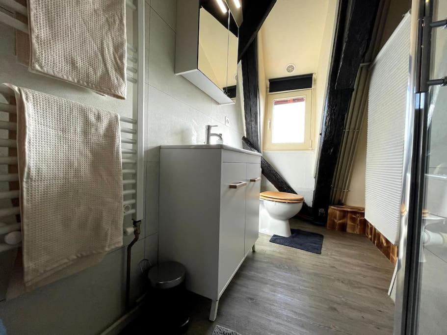 Selestat Centre - L'Unique - 4 Pers - Cosy Apartment Ngoại thất bức ảnh