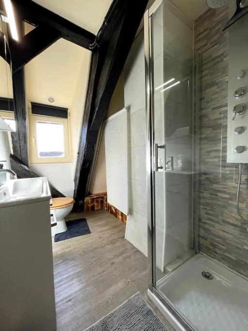 Selestat Centre - L'Unique - 4 Pers - Cosy Apartment Ngoại thất bức ảnh