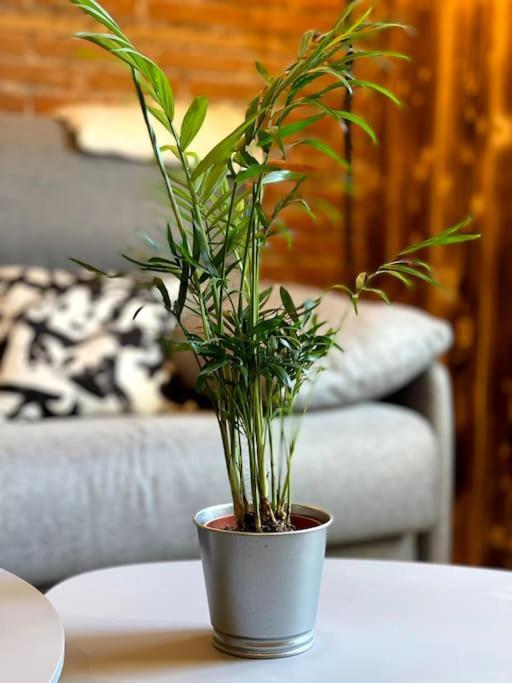 Selestat Centre - L'Unique - 4 Pers - Cosy Apartment Ngoại thất bức ảnh