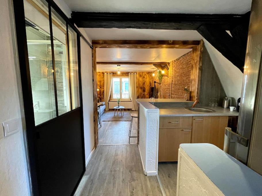 Selestat Centre - L'Unique - 4 Pers - Cosy Apartment Ngoại thất bức ảnh